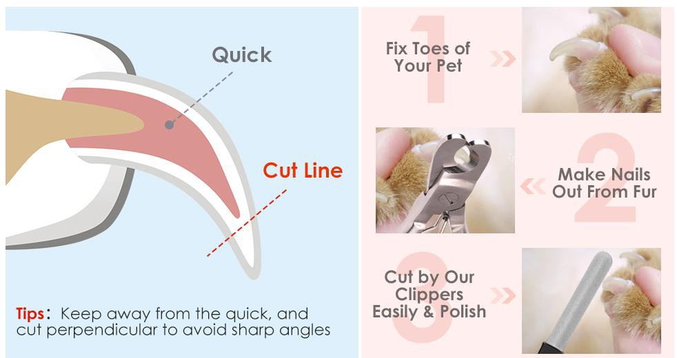 Pet Nail Clippers Trimmer Set